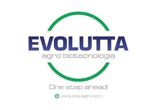 LOGO EVOLUTTA